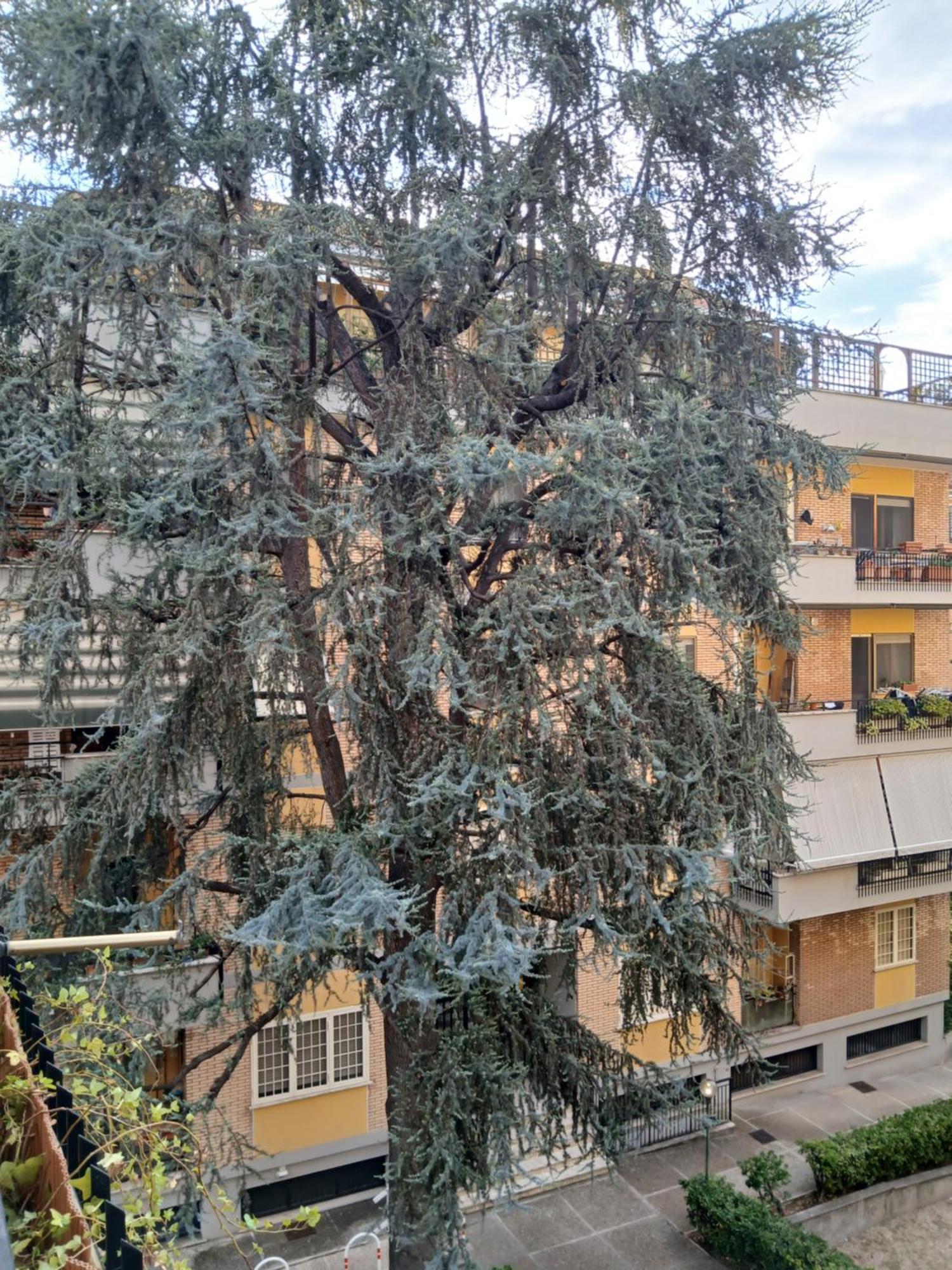La Casa Di Antonella E Giuseppe Apartment Rome Exterior photo