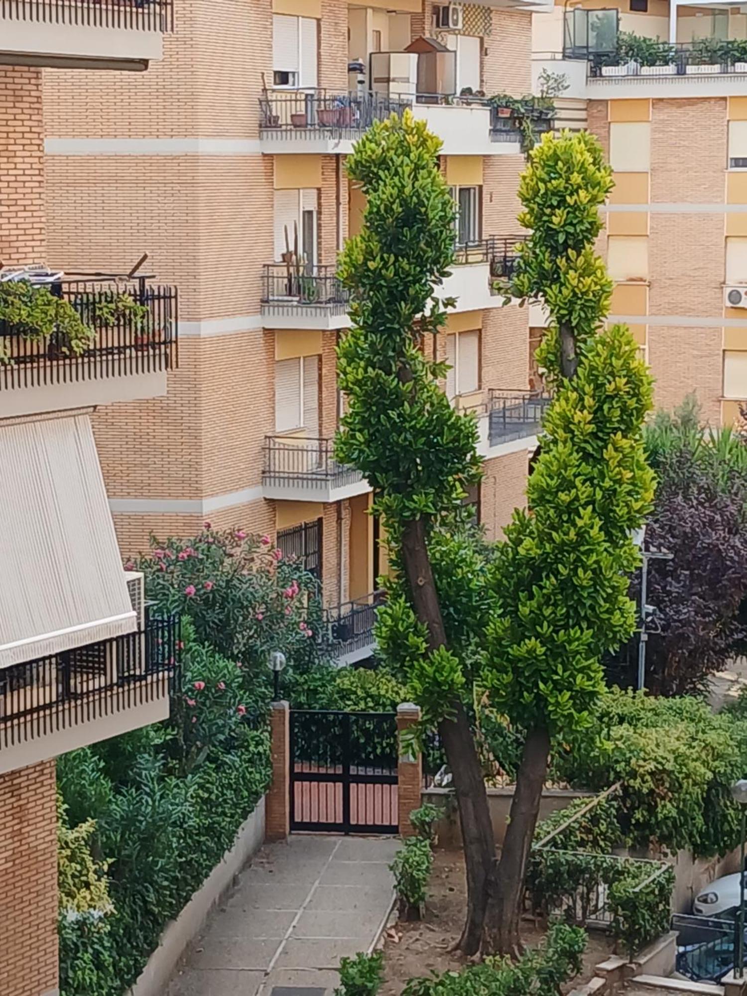 La Casa Di Antonella E Giuseppe Apartment Rome Exterior photo